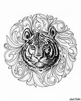 Tiger Coloring Adult Tigers Framework Leaves Circular Elegant Head Drawing Center sketch template