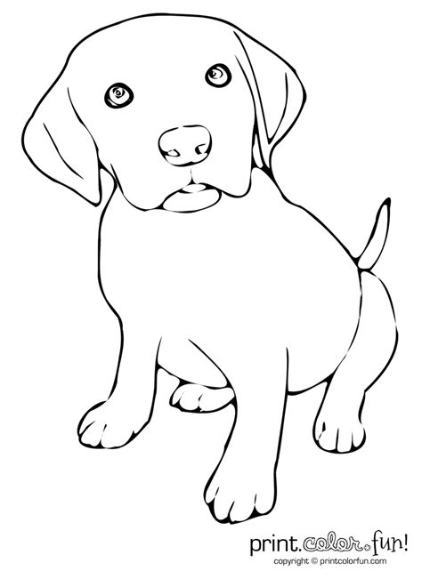 cute puppy coloring pages cute puppy coloring page   animal