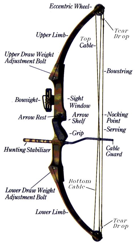 pin  trey house  compound bows archery bows archery equipment archery tips