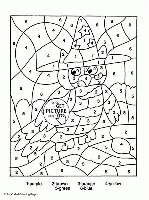 color  number owl coloring page  kids education coloring