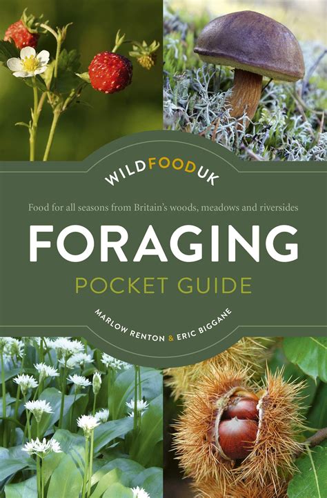 foraging pocket guide  summerfield books