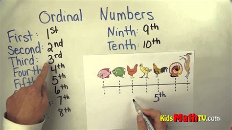 ordinal numbers math tutorial lesson st    youtube