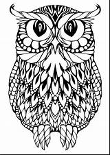 Owl Realistic Drawing Owls Coloring Pages Getdrawings sketch template