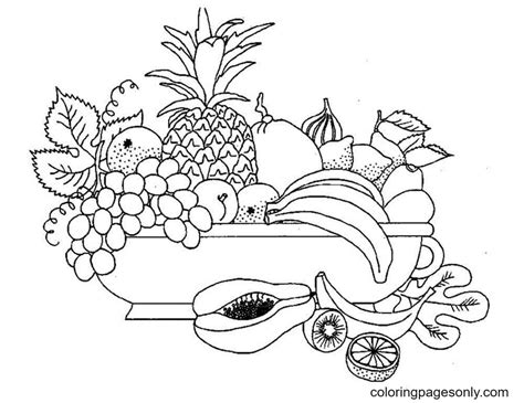 fruits pictures  coloring