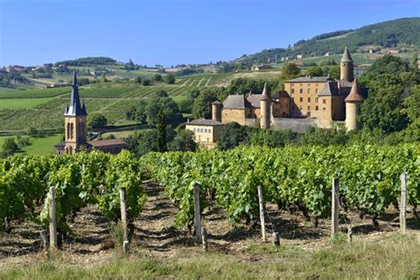 guide  beaujolais wine regions  wines fast facts beaujolais terroir