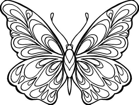 butterfly coloring pages   printable sheets parade