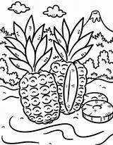 Tropical Coloring Pages Kids Designlooter Kid Drawings 777px 92kb sketch template