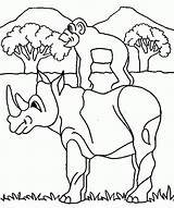 Pintar Rinoceronte Animais Safaris Bebés Marcadores sketch template