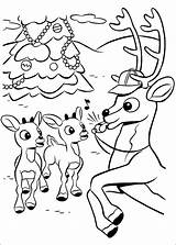 Rudolph Reindeer Rudolf Nosed Renne Rentier Nez Rouge Colorat Kolorowanki Renifer Babbo Colorir Malvorlagen Ausmalbild Desenhos Comet Ausdrucken Nase Roten sketch template