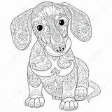 Coloring Pages Dachshund Dog Puppy Mandala Mandalas Hunde Zentangle Adult Ausmalbilder Colouring Hard Ausmalen Puppies Drawing Bilder Adults Printable Stylized sketch template