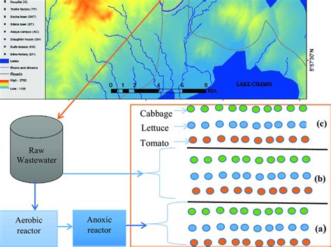 maps  sampling sites  arba minch town  experimental designs   scientific