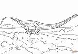 Coloring Jurassic Park Pages Mamenchisaurus Dilophosaurus Dinosaur Gallimimus Dinosaurs Printable Template sketch template