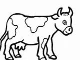 Cow Outline Clipart Colouring Library Coloring Simple sketch template