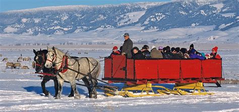 Things To Do In Jackson Hole During Winter Wyoming Inn