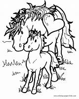 Horse Coloring Pages Pretty Getcolorings Cute sketch template