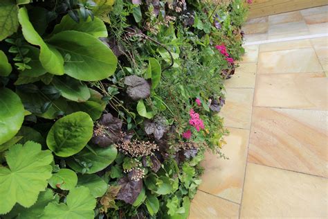 living wall garden amazon landscaping  garden design