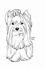 Coloring Pages Yorkie Yorkshire Terrier Puppy Dog Printable Dessin Drawing Print Gif Template Puppies Animal Drawings sketch template