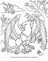Coloring Pages Griffin Creatures Mystical Baby Mythical Dragon Printable Colouring Color Deviantart Animal Kids Mythological Coloriage Book Unicorn Mandala Animaux sketch template