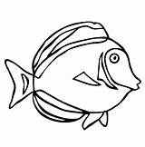 Coloring Ray Getdrawings Fish sketch template