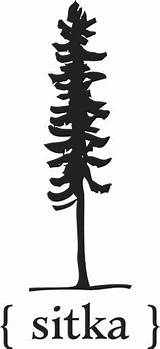 Sitka Spruce Trees sketch template