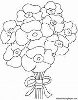 Coquelicot Coloriages Poppies sketch template