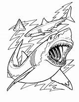 Shark Coloring Pages Printable Sharks Print Megalodon Jaws Kids Color Evolution Cartoon Tiger Template Bestcoloringpagesforkids Hungry Great Book Scary Books sketch template