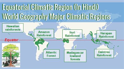 equatorial region human life  equatorial climate distribution