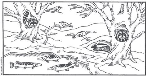 hibernating animals coloring page