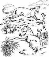 Lions Animals Printable Kidsuki Coloringbay sketch template