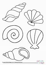 Colouring Shell Sea Shells Coloring Pages Beach Summer Printable Seaside Template Kids Seashell Colour Drawing Mar Crafts Mermaid Activity Choose sketch template