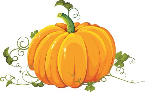 pumpkin pie cucurbita pepo clip art pumpkin png image png