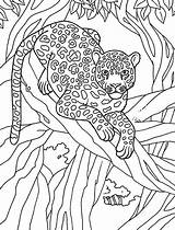 Leopard Pages Snow Coloring Clouded Color Amur Template Getcolorings Colorin Printable Clipart sketch template