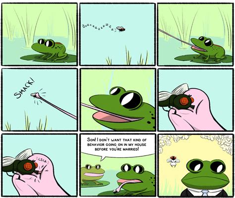 Frog Fly Funny Pictures And Best Jokes Comics Images