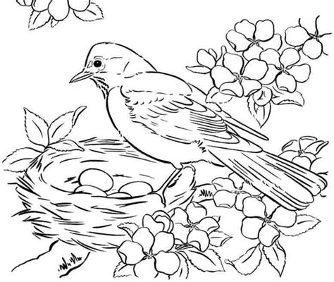 cartoon birds winter page coloring pages