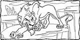 Scar Lion Coloring King Pages Getcolorings Color sketch template