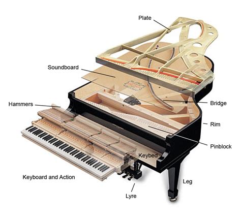piano structure radford piano services