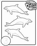 Diego Dolfijnen Ausmalbilder Tellen Coloriages Animaatjes Dora Insertion Stimmen sketch template