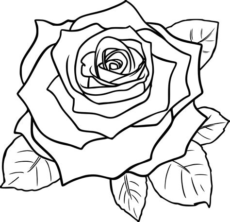 roses  nature  printable coloring pages