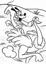 Safari Mickey Coloring Pages Ostrich Animals Kids Color Fun Online sketch template