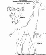 Coloring Tall Short Opposites Animal Crafts Book Kindergarten Learning Enchantedlearning Enchanted Search Books sketch template