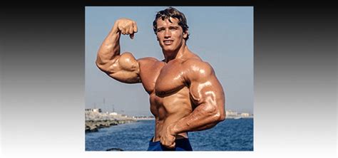Arnold Schwarzenegger A Bodybuilding Profile