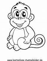 Affen Affenbaby Ausmalen Ausmalbild Ausdrucken Malvorlagen Affe Als Kaynak Gemerkt Dein sketch template