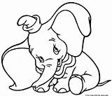 Dumbo Coloring Shy sketch template