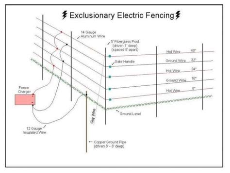 wiring diagram  electric fence technology  developed  reading electric fence wiring