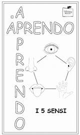 Sensi Lapbook Cinque Copertina Corpo Umano Schede Didattiche Libri Attività Cerca Esercizi Scienza Scienze Senso Risultati Insegnando Lim Codifica sketch template