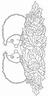 Egel Kleurplaten Ausmalbild Igel Hedgehog Kleurplatenwereld Egels Kleurplaat sketch template