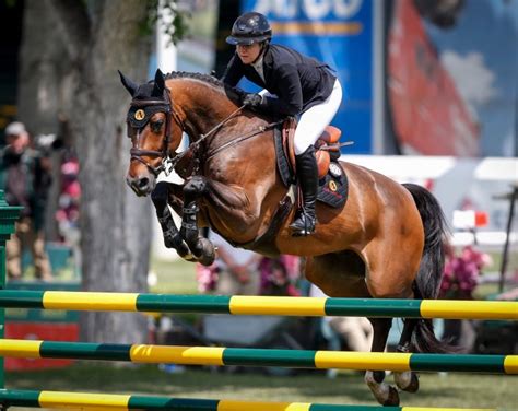 canadas show jumping team expelled  tokyo olympics  doping violation national