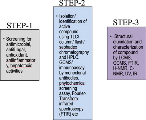 representation   systematic process   search  bioactive