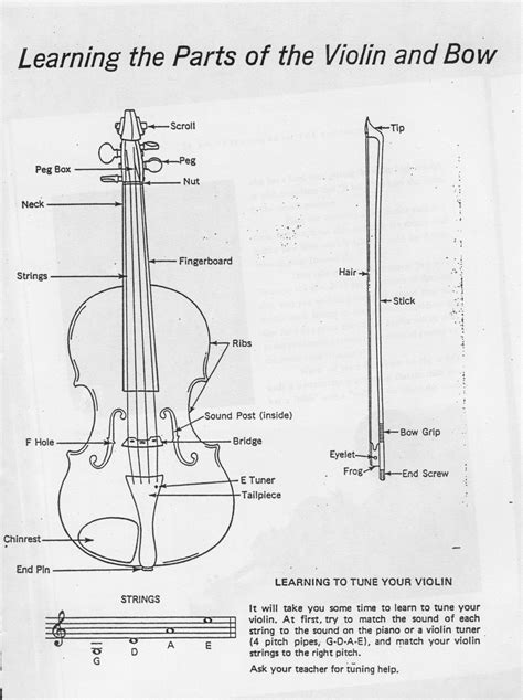 violin bow diagram google search violin electric noise violin bow violin diagram
