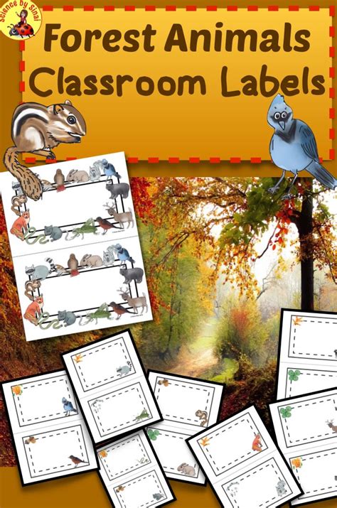 creating  woodland forest classroom theme    set